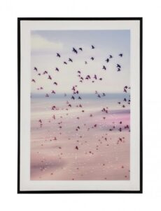 BIZZOTTO Tisk na plátně VOYAGE 50x70cm